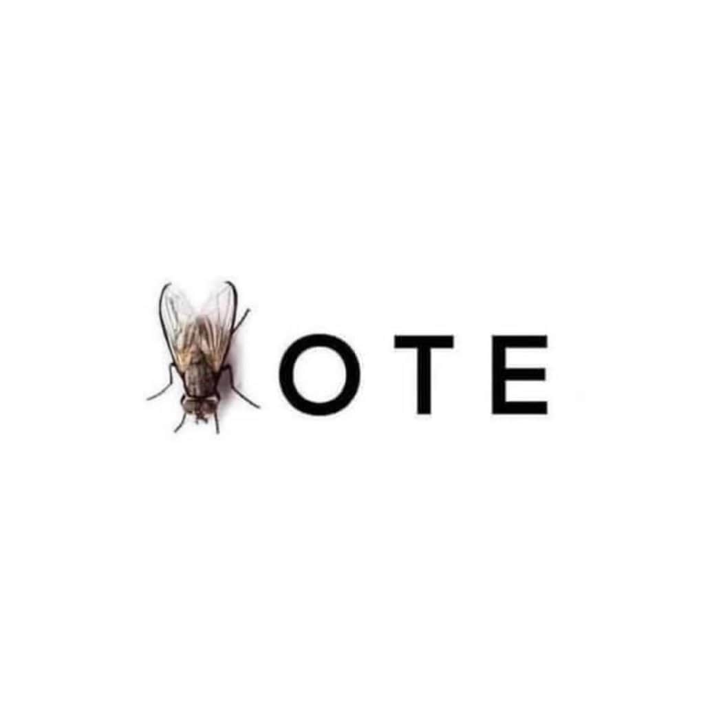 マンディクーンのインスタグラム：「When they go low, we go fly. Please vote!」