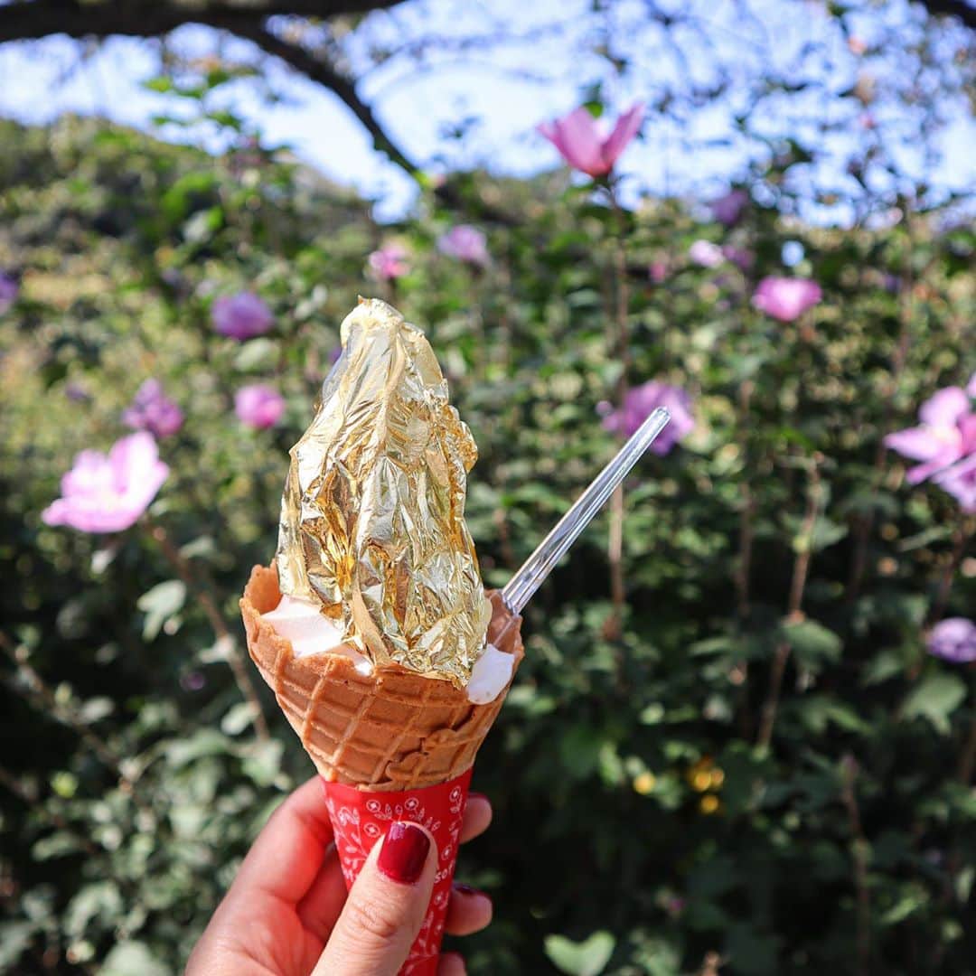 DJ YURiAのインスタグラム：「🍦🍦🍦  味は普通🙈」