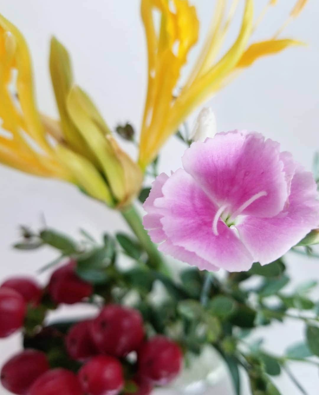 koyukkuma 一条工務店さんのインスタグラム写真 - (koyukkuma 一条工務店Instagram)「• 今週も @bloomeelife さんから、かわいいお花が届きました💐 • ポストから出して箱を開けるのがいつも楽しみで、ワクワクします💓💓 • いつもキッチンに飾ってるけど、食器片付けたり料理しながらチラチラ見えるお花にいつも癒されます😍 • みなさんもお花のある暮らし始めませんか？🤲 • 初回のお花お届けが無料になるクーポンがあるので、使ってくださいね🎵 • ■クーポンコード：kuma ■有効期限：2020年10月31日 • #bloomeelife #ブルーミーライフ #花サブスク」10月10日 10時39分 - kumasan_ismart