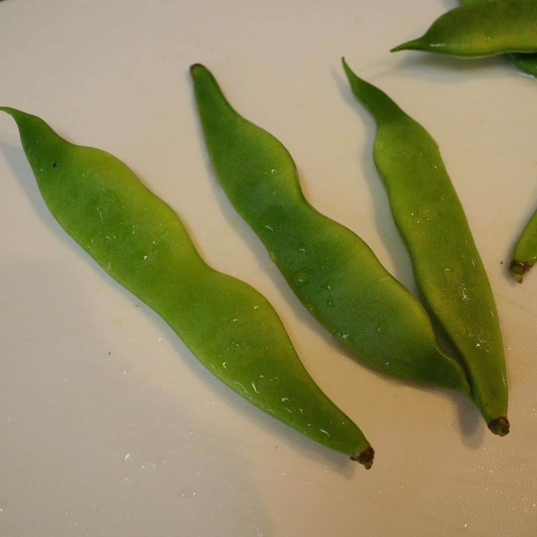 中島早貴さんのインスタグラム写真 - (中島早貴Instagram)「#新米ソムリエなかじまさん (野菜ソムリエです👩‍🌾)   今回はちょいと珍しい？ お野菜をご紹介🙋‍♀️ 　 まず①四角豆(シカクマメ) 別名「うずりん豆」と呼ばれ沖縄で多く栽培されています。 夏に成長し秋に収穫なので今が旬の野菜。 四方にヒダが付いているのが特徴で、カロテンやビタミンCが含まれています。 そしてこちらの四角豆なんと花や枯れた後地中にできるイモも食べれる野菜みたいです！ イモ、何処で手に入るんだろ？ た、べ、た、い。🥺 初四角豆は 苦味と甘味のバランスが良すぎて、味付けするのがもったいなく塩茹でのままいただきました😋 なかじま的ヒット野菜👩‍🌾！！ 　 ②③ツルムラサキ とーっても栄養価が高い夏野菜です！ βカロテンをはじめカルシウムやマグネシウムなどのミネラルが豊富で、ビタミンC、ムチン、食物繊維、葉酸。と栄養が詰まってますね☺️👍 独特の苦味のヌメリが癖になるツルムラサキ。 お浸しでいただきましたー。 　 ④⑤モロッコインゲン さやいんげんの一種ですが、モロッコ原産ではありません😂🙏🏻 出周りはじめた時の時代の流れで命名されたみたいです。笑 収穫時期は夏。 タンパク質やアスパラギン酸が含まれています。 甘味があって食感も楽しい野菜。 今回はマスタードとお醤油で和えました。 こちらもヒット！！！！🙋‍♀️笑 　 野菜って美味しいよねぇー🤤 あまり食べない野菜こそ 大地のパワーが詰まっていて 野菜の香りや苦味が程よく詰まっている印象🤔 　 あー、道の駅ドライブだけでもしたいなぁ。🙄 　 旅する時 その土地の道の駅に行くのが昔から好きなんだけど 共感してくれる方います？？🤔笑 　 ちょいと話逸れましたが 以上になりまーすー。 　 読んでくださってありがとうございました🙇‍♀️✨ 　 #野菜ソムリエ #四角豆 #うずりん豆 #ツルムラサキ #モロッコインゲン」10月10日 10時48分 - saki__nakajima__uf