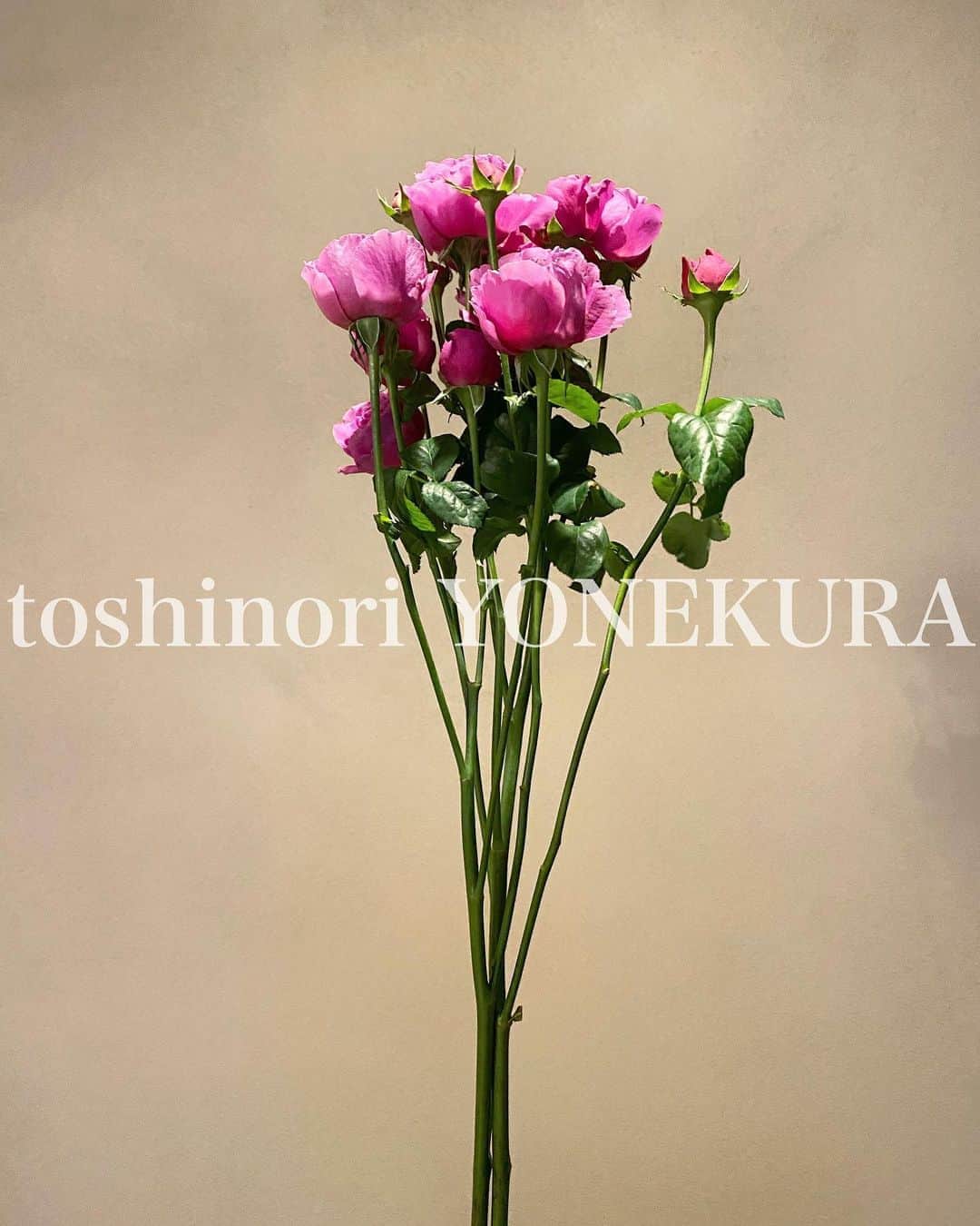米倉利紀さんのインスタグラム写真 - (米倉利紀Instagram)「flowers of this week #男花 #花のある生活 #米倉利紀 #toshinoriyonekura #bodymake #fitness #music #flowers #purfume #fashion #tour #pink #elephant #pinkelephant #tokyo #sapporo #osaka #fukuoka」10月10日 11時41分 - toshi_yonekura