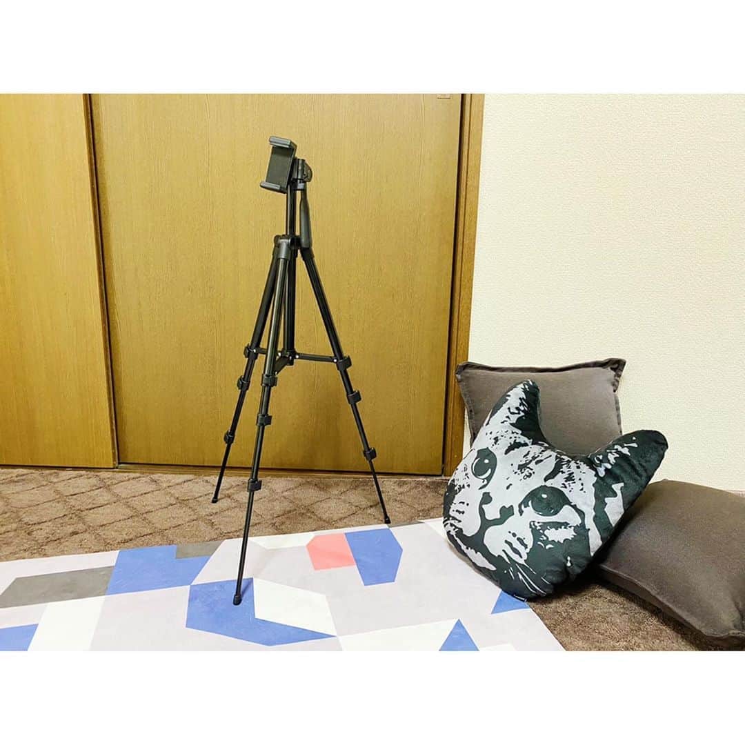 のインスタグラム：「オンラインレッスン、ご参加いただき ありがとうございました😊 * 雨でも家の中から参加できる オンラインレッスンの良いところですね！ 台風は逸れましたが引き続き安全にお過ごしくださいませ、そして良い週末を！ * 私は最近、レッスンもイベントも自宅から オンラインでつなぐことがほとんどで 大きめの三脚を購入しました📷 今日はここにスマホをセットしていました。 * あとは観葉植物とモフモフの白いラグが 欲しい🌿 扉も隠したい、色々変えたい欲が出てきましたが少しずつかな。 * 小虎はど真ん中にいたようです。 * #ヨガ #ヨガインストラクター #ヨガライフ #オンライン #オンラインヨガ #オンラインレッスン #三脚 #カメラ #猫 #猫すたぐらむ #トレーニング #ワークアウト #フィットネス #朝ヨガ #朝時間 #yoga #yogainstructor #yogalife #wellness #training #workout #fitness #cat #catstagram #online #onlinelesson」