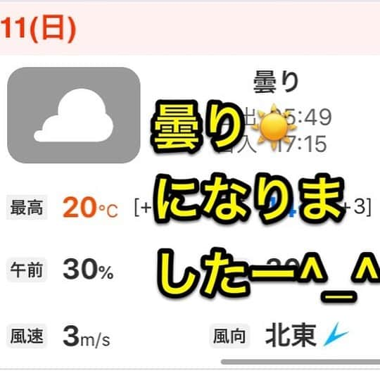 ふじさん冷蔵のインスタグラム：「明日は姉妹農場ツチと実の2020年の最後の営業日です！  台風も離れていき、ぶじ明日の雨も無くなりましたね！ ほうとうが食べれる完熟屋や百間も元気に営業中です^_^  シャインマスカットのセールもやっています^_^ ぜひご来場・ご来店お待ちしております^_^  以下ツチと実より  今日も雨の中ご来場ありがとうございます^_^ シャインマスカットのドドンパセールもあってか、明日は台風が離れていって雨は無くなりましたね^_^ しかも時間によっては晴れるみたです！！  明日は2020年ぶどう狩りの最終日！ 先着50台ですが、まだ若干空きはあります！！  ぜひご来店お待ちしております！  ご予約はこちらから ↓↓↓ http://www.budou-nashi.com  #山梨 #ぶどう狩り #ぶどう狩り食べ放題  #シャインマスカット #ドドンパ #セール開催中 #明日が #2020年 #最終日」