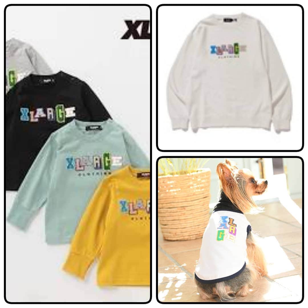 Caluluさんのインスタグラム写真 - (CaluluInstagram)「. .  2020aw 「xlarge_お揃い服も一緒に紹介」 . 人服は取り扱っておりませぬ…。 ちなみにkidsはナルミヤオンライでxlarge_xgirlをさがしてみてね！ . . #xlarge #xlarge_snap #xlargejp #エクストララージ #xgirl #xgirljp　#xgirlstages #エックスガール #お揃いの服 #ペアルック #ドッグウェア #犬服ブランド #カルル #calulu」10月10日 12時33分 - calulu_dogwear