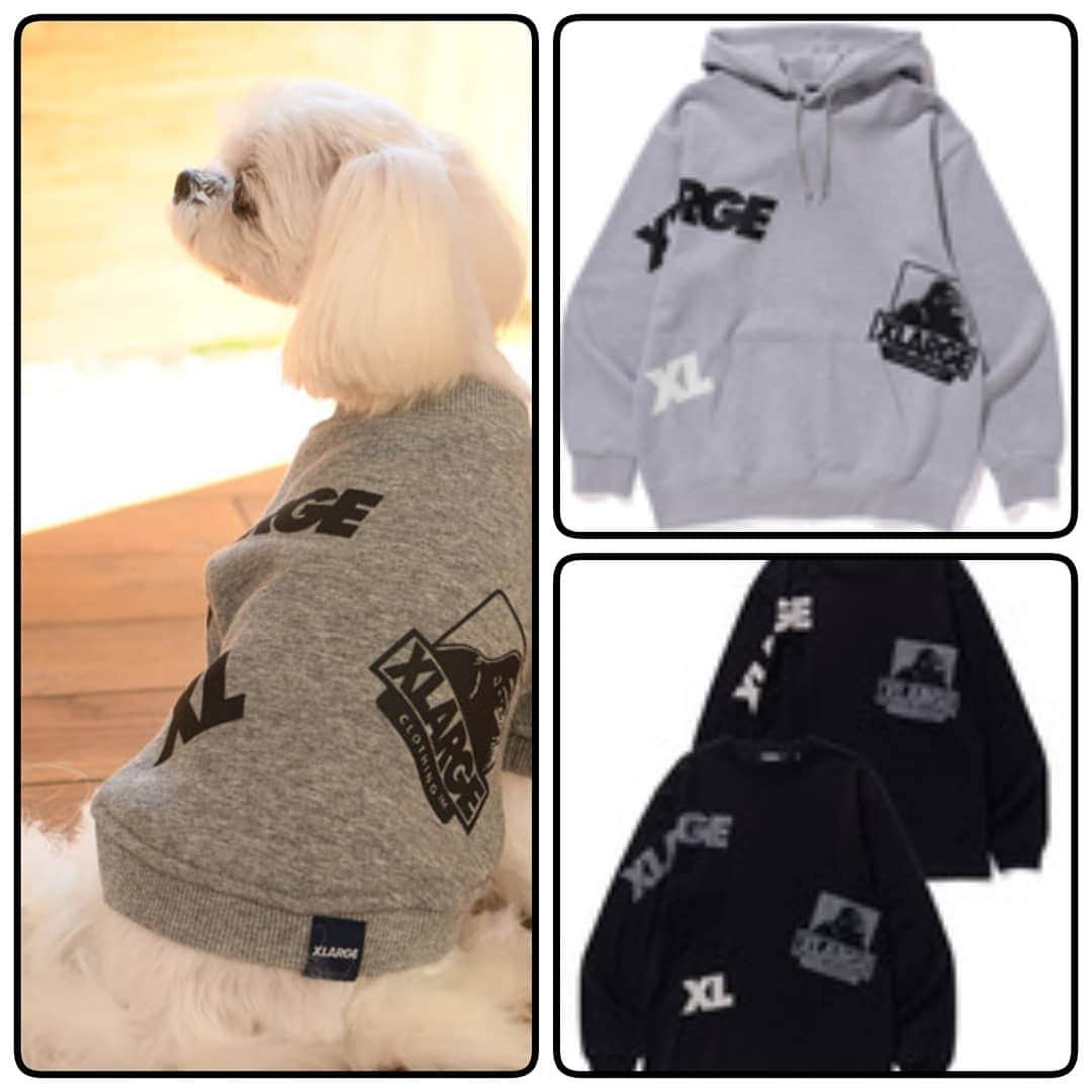 Caluluさんのインスタグラム写真 - (CaluluInstagram)「. .  2020aw 「xlarge_お揃い服も一緒に紹介」 . 人服は取り扱っておりませぬ…。 ちなみにkidsはナルミヤオンライでxlarge_xgirlをさがしてみてね！ . . #xlarge #xlarge_snap #xlargejp #エクストララージ #xgirl #xgirljp　#xgirlstages #エックスガール #お揃いの服 #ペアルック #ドッグウェア #犬服ブランド #カルル #calulu」10月10日 12時33分 - calulu_dogwear