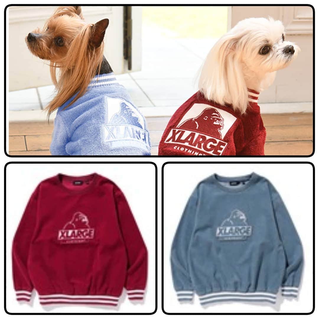 Caluluさんのインスタグラム写真 - (CaluluInstagram)「. .  2020aw 「xlarge_お揃い服も一緒に紹介」 . 人服は取り扱っておりませぬ…。 ちなみにkidsはナルミヤオンライでxlarge_xgirlをさがしてみてね！ . . #xlarge #xlarge_snap #xlargejp #エクストララージ #xgirl #xgirljp　#xgirlstages #エックスガール #お揃いの服 #ペアルック #ドッグウェア #犬服ブランド #カルル #calulu」10月10日 12時33分 - calulu_dogwear