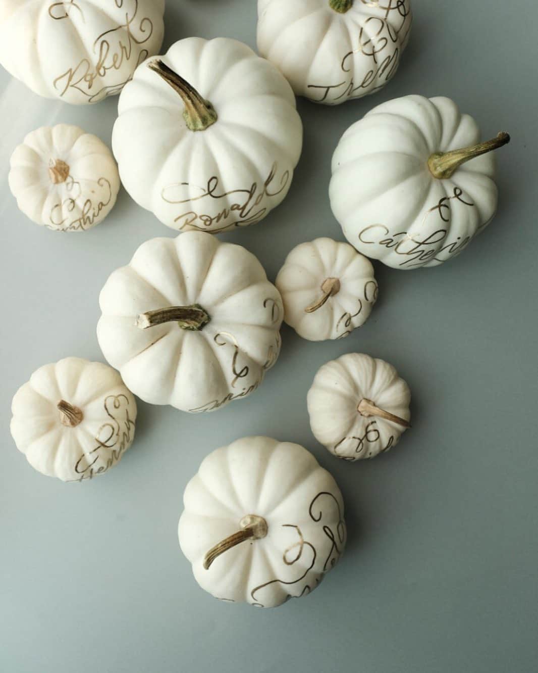 Veronica Halimさんのインスタグラム写真 - (Veronica HalimInstagram)「These pumkins are all dressed up and ready to party in the garden with @lxemoments Happy Saturday!!  — #saturday #pumpkin #halloweencalligraphy #truffypi #whitepumpkins #styling #weddingstyle #weddingdecoration #lettering #calligraphy #calligraphylifestyle #calligraphystyling #カリグラフィー　#モダンカリグラフィー」10月10日 13時00分 - truffypi