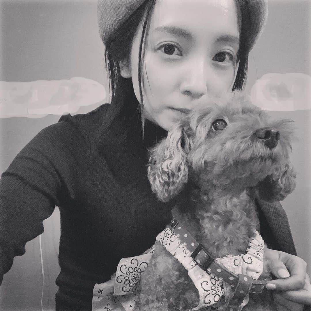 入来茉里さんのインスタグラム写真 - (入来茉里Instagram)「気心知れた友人達と🐶といつもの時間を。 みんながみんな 自分の感覚で思うことを発信するから 肯定・共感もするし、否定もするし でも細かいことはどちらでもいいなと思える空間。 20代はそういう友人を作るのが難しくて 自分も他人の目が気になり過ぎていたし なるべく、同じ感覚で安心する友人が欲しかった気がするけど…。 今ってなんて楽なんだろうなと。 ふと思って、書き留めてます。 年々、楽になるものなのかな…？ トイプードルってなんてかわいいんだ。 ・ 皆さん、週末は いかがお過ごしですか☺️？  #犬 #かわいい #友達の犬 ＃トイプードル #dog #友人 #付き合い方 #好きな人 #楽な人 #楽って大事 #無理しない #無理出来ない」10月10日 13時38分 - iriki.mari_official