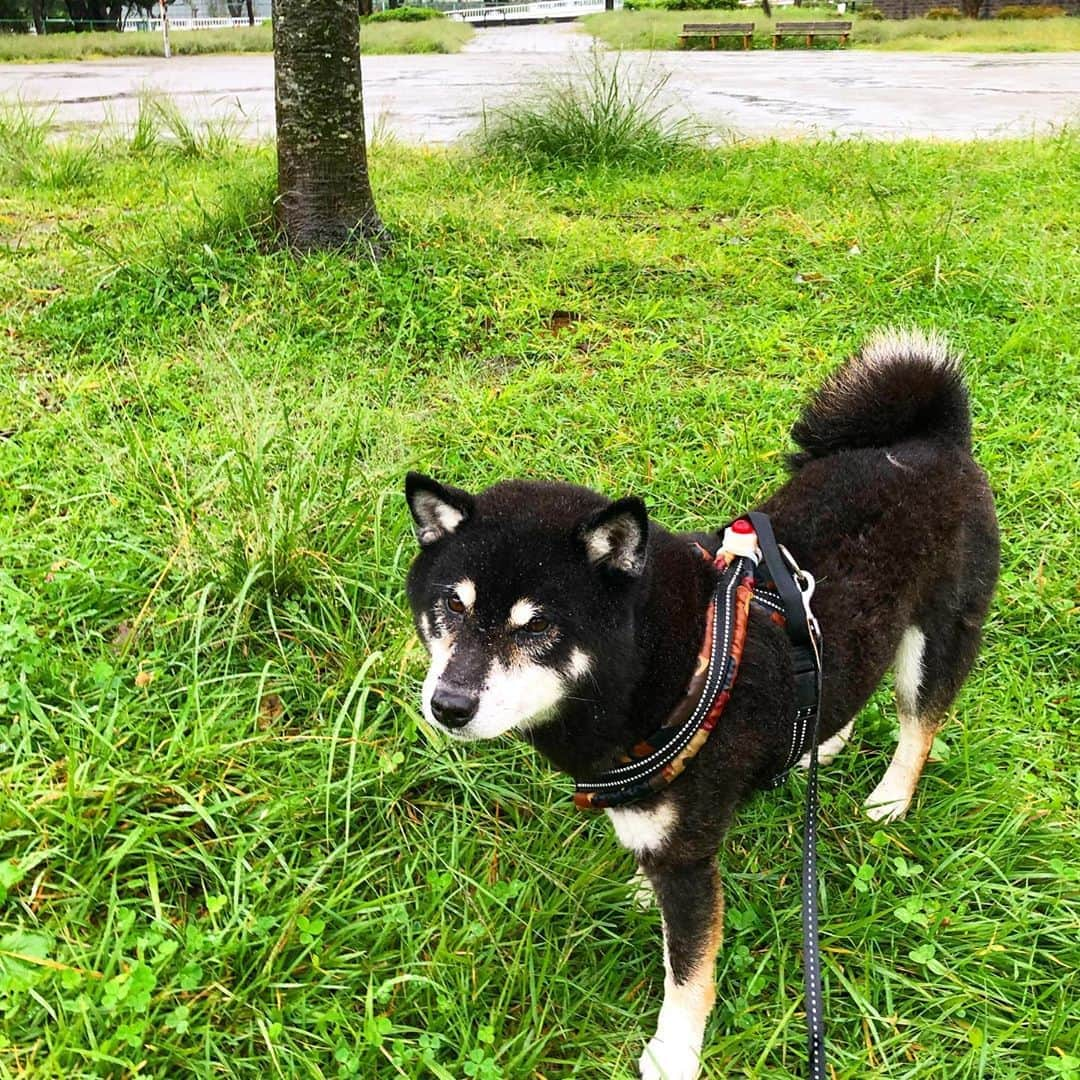 小川博永のインスタグラム