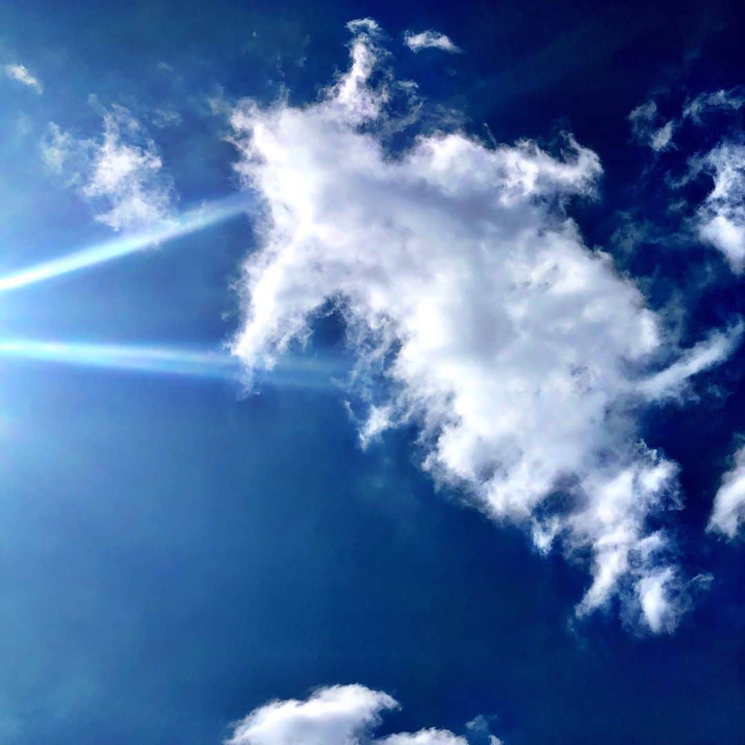 西原さおりさんのインスタグラム写真 - (西原さおりInstagram)「熊本に帰ってきました。 こちらは初夏の陽気です。 ・ これから父も一緒に阿蘇に向かいます🚗 ・ #熊本 #sky #blue」10月10日 13時45分 - saolio