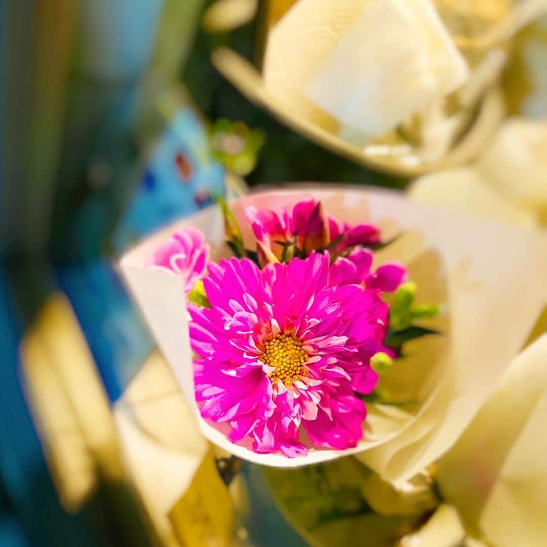 大越かず江さんのインスタグラム写真 - (大越かず江Instagram)「✨BLUE✨  青の世界にピンクの花束💐✨ 淋しさの中にある”愛”という光そのものを現しているように、私には感じる♡(*´･ω･)(･ω･`*)♡  どんなに苦しい時も 必ず光は差し込んでくる✨( ᵒ̴̶̷̥́ ⌑ ᵒ̴̶̷̣̥̀ )💖✨  独りじゃない✨ 皆んなが居てくれて感謝してます тнайк　―+｡:.ﾟヽ(´∀`｡)ﾉﾟ.:｡+ﾟ―чоц!!♥️♥️♥️  ✨✨✨✨✨✨✨✨✨✨✨  ✨ BLUE ✨  Pink bouquet in the blue world 💐✨ I feel like the light of "love" in loneliness is revealed♡(*´･ω･)(･ω･`*)♡  No matter how painful it may be, the light will always come in ✨( ᵒ̴̶̷̥́ ⌑ ᵒ̴̶̷̣̥̀ )💖✨  I'm not alone ✨ Thank you for being there тнайк　―+｡:.ﾟヽ(´∀`｡)ﾉﾟ.:｡+ﾟ―чоц!!♥️♥️♥️  ✨✨✨✨✨✨✨✨✨✨✨  #blue  #ブルー  #pink  #ピンク #花束💐」10月10日 13時59分 - bluemoonseasky