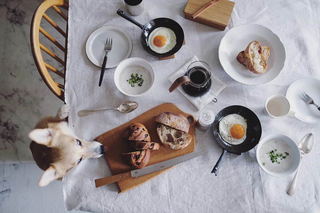 maggydaisyのインスタグラム：「_  いつかの朝ごはん エリンギを山ほど使ったポタージュ 温かいスープが美味しい季節。  やっとトイレの修理も終わり、午後からはまた病院へ。 今日もまた待つよ。ずっと待つからね。  #maggydaisymore20201010 #breakfast #朝ごはん #corgi #コーギー #犬のいる暮らし」