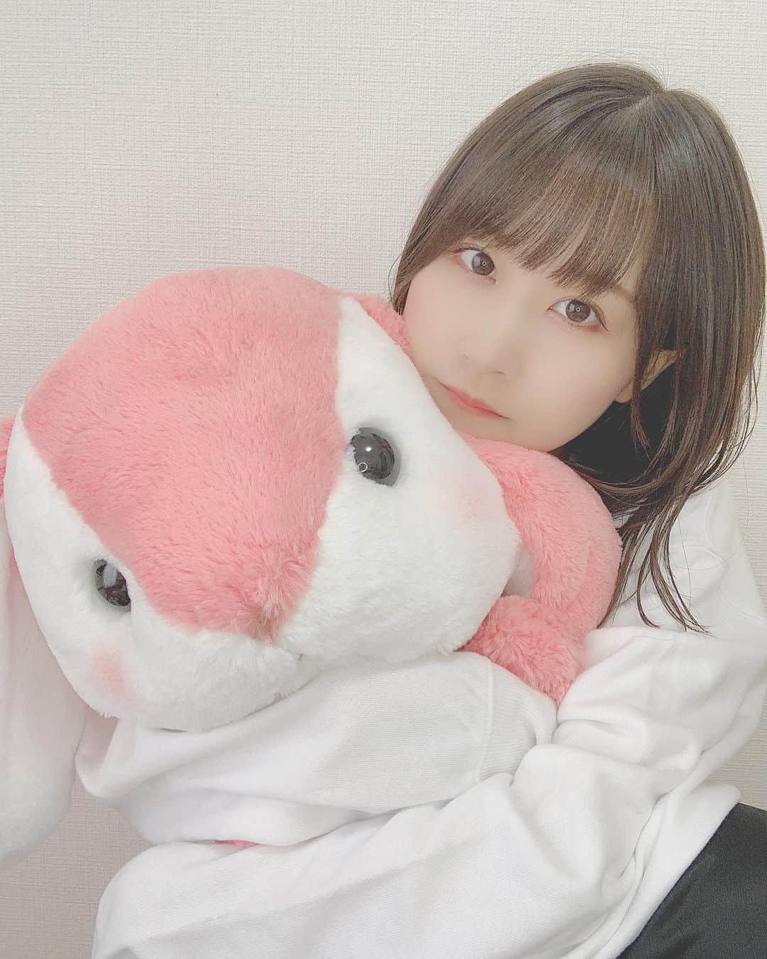 八木沙季のインスタグラム：「🐰🐰 . 昨日UFOキャッチャーで 100円で取れたうさぎちゃん🙋🏻‍♀️ 名前なにがいい？ .」