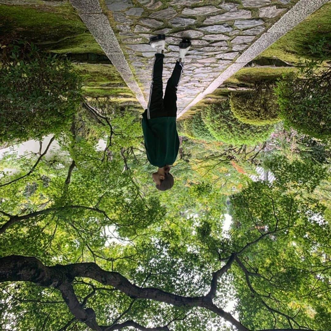 MAINA（小川舞奈）さんのインスタグラム写真 - (MAINA（小川舞奈）Instagram)「一休寺 入った瞬間神秘的な空気が流れてて 時止まった。。 . 何百年と培ってきた苔に 木々たちもちゃんと 呼吸をしていて ワタシが 大きく息を吸って吐くと 一気に 心癒された。 . すごい場所！ ありがたい場所！ . , #一休寺 #一休さん」10月11日 1時38分 - ssfwmaina