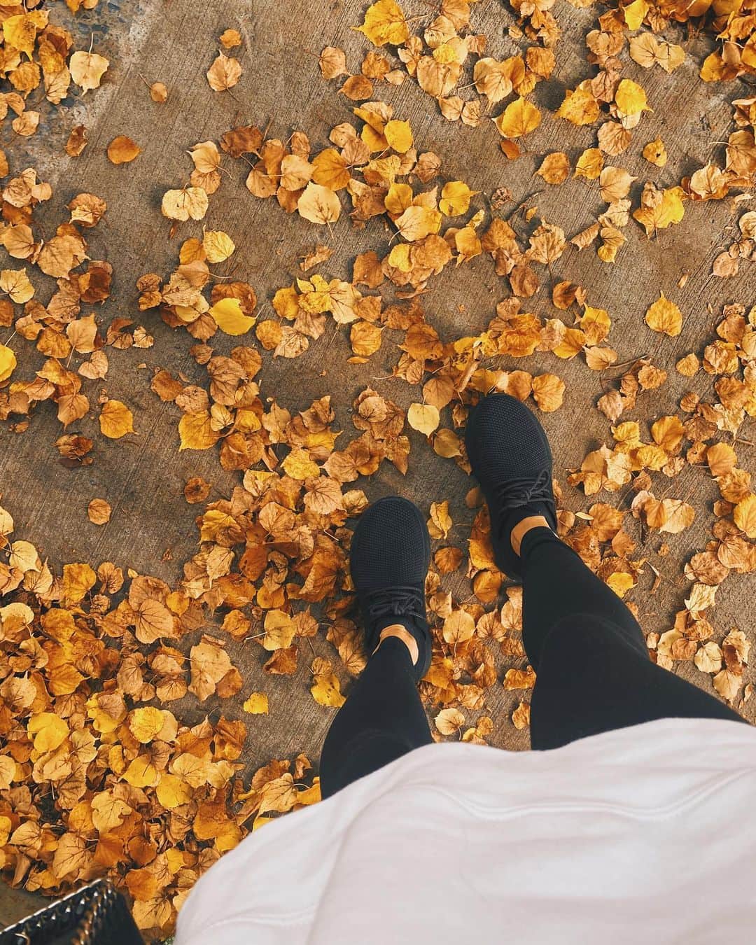 Kalyn Nicholsonのインスタグラム：「It’s #worldmentalhealthday 🍂 remember to check in on those you love, take regular care of yourself, make space for wherever you’re at on a daily basis and flow with your life, mentality and physical changes as they come. There’s empowerment in embracing your human, for underneath every layer that’s what we all are.  sending out so much love and comfort to all you!」