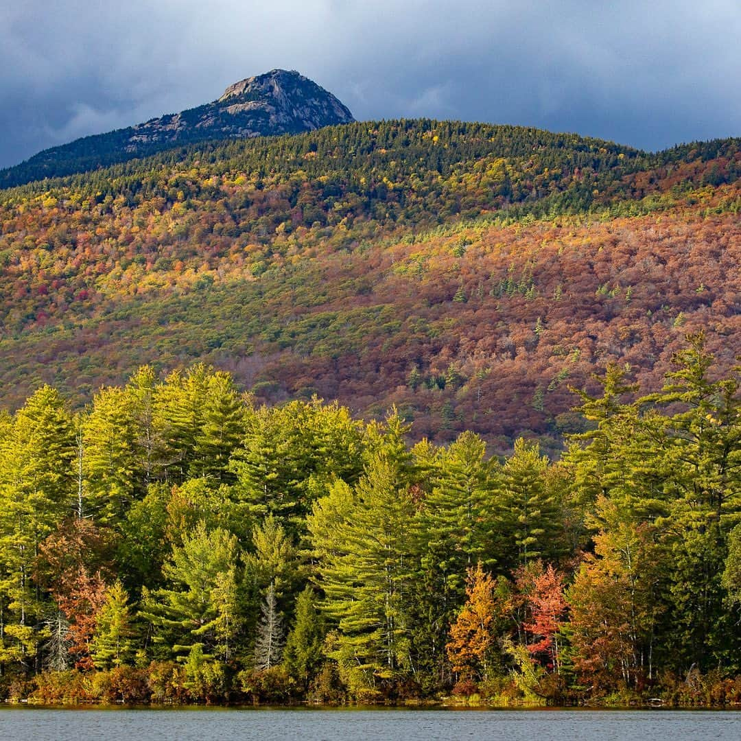 Tim Lamanさんのインスタグラム写真 - (Tim LamanInstagram)「Photos by @TimLaman.  It’s fall here in New England where I live, and due to covid, I’m actually getting to enjoy our spectacular fall colors (instead of shooting overseas). Here are a few shots from last weekend in the White Mountains of New Hampshire.  Moving water and fall colors are always a nice combo.  1. Pemigewasset River;  2. Mt. Chocorua;  3) Hiking the Whites. #fallcolors #newengland #newhampshire #whitemountains #framedonGitzo @Gitzoinspires」10月11日 2時19分 - timlaman