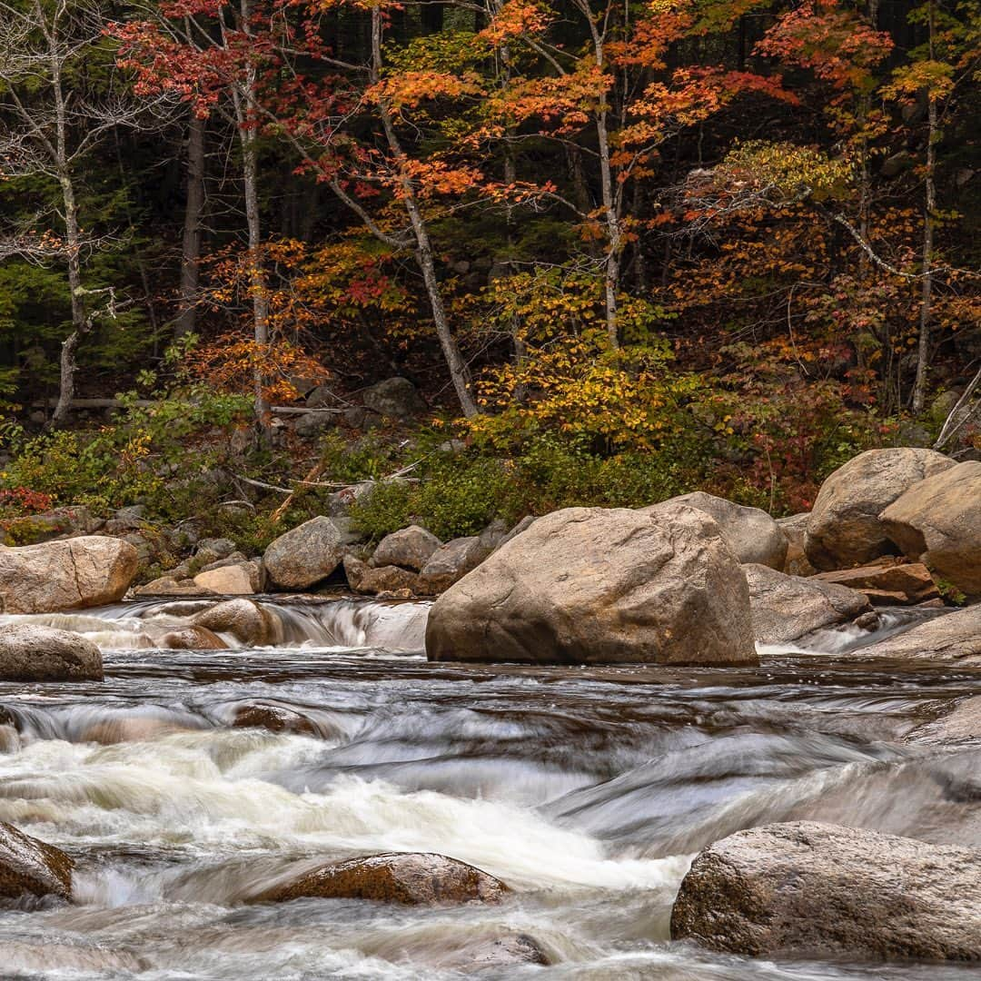 Tim Lamanさんのインスタグラム写真 - (Tim LamanInstagram)「Photos by @TimLaman.  It’s fall here in New England where I live, and due to covid, I’m actually getting to enjoy our spectacular fall colors (instead of shooting overseas). Here are a few shots from last weekend in the White Mountains of New Hampshire.  Moving water and fall colors are always a nice combo.  1. Pemigewasset River;  2. Mt. Chocorua;  3) Hiking the Whites. #fallcolors #newengland #newhampshire #whitemountains #framedonGitzo @Gitzoinspires」10月11日 2時19分 - timlaman