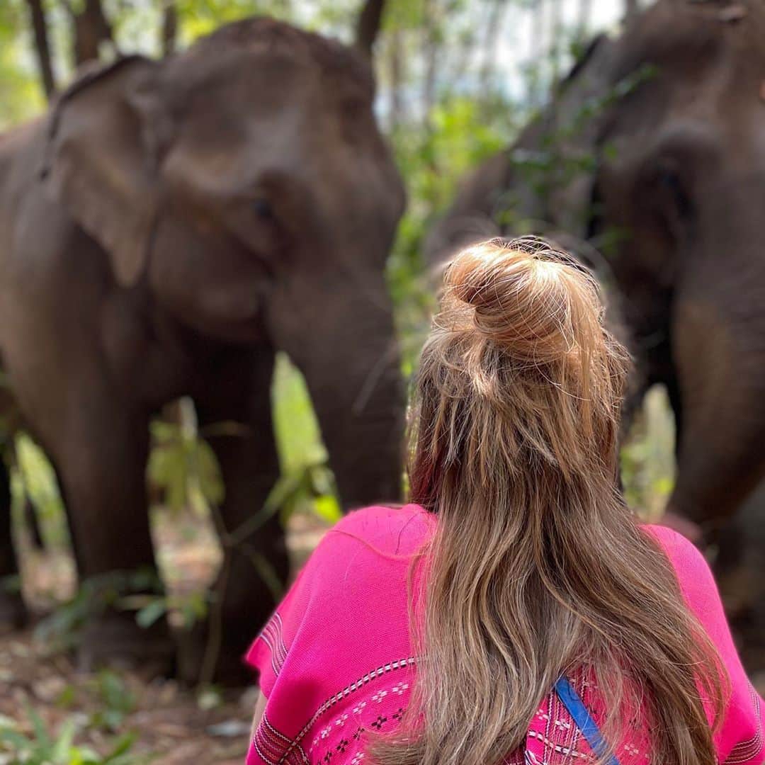 セリーヌ・バン・ガーナーのインスタグラム：「Intrigued ~ feb 2020 🌏✨」