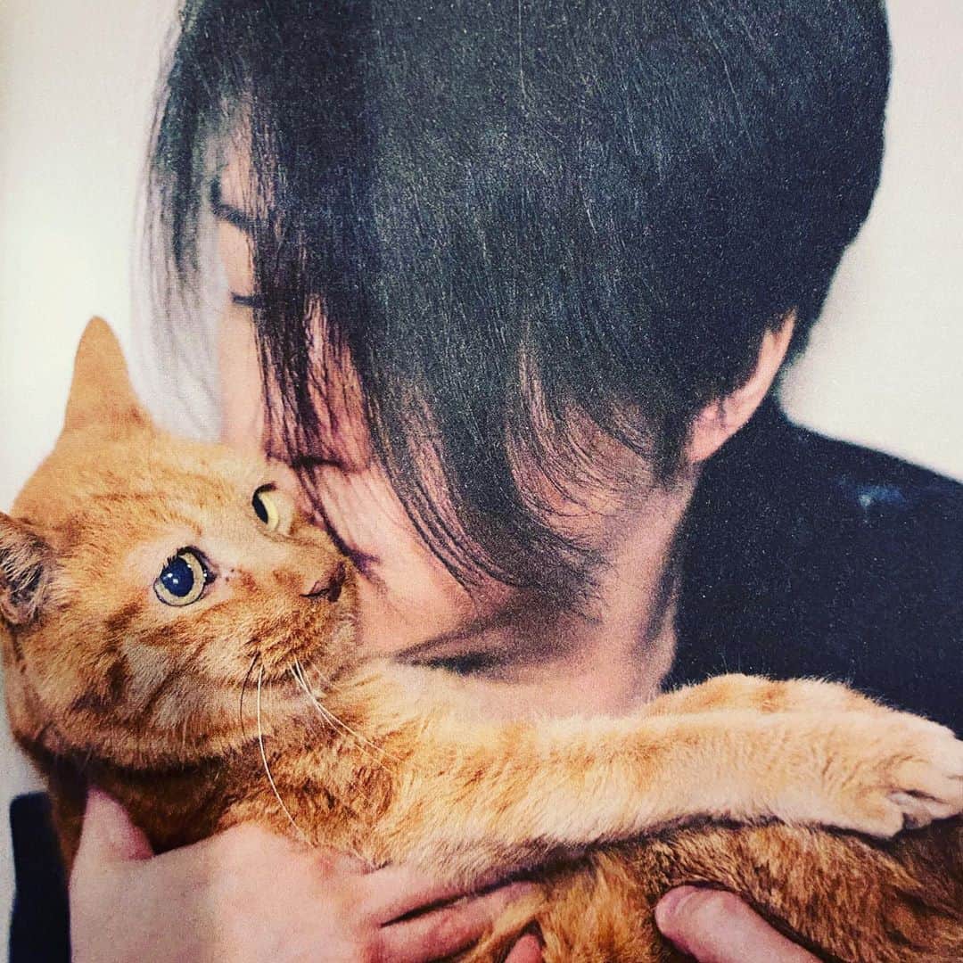 渋谷慶一郎のインスタグラム：「かわいいでしょー　also cute...」