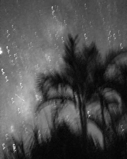 のインスタグラム：「Stay safe ♡ #star #palmtree  1週間早いなぁー！ヤシの木と星って可愛い♡本当にキレイ❤︎ 多忙期が落ちついた❤︎ 今日は雨だしおうちでゆっくりお風呂に浸かろ🛁」