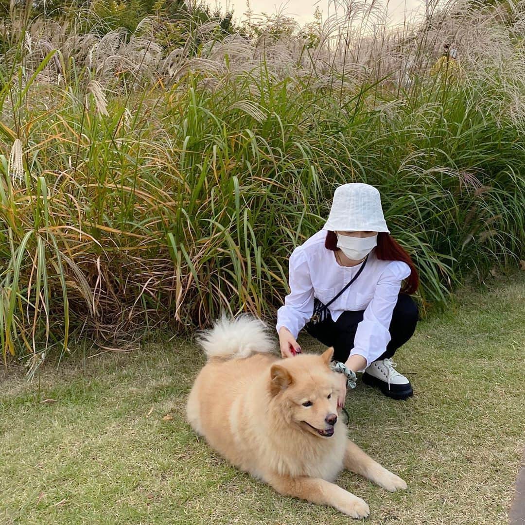 ギョンリ のインスタグラム：「우리 시로 퍼스널컬러도 가을웜 일듯🐕 @ice_siro」