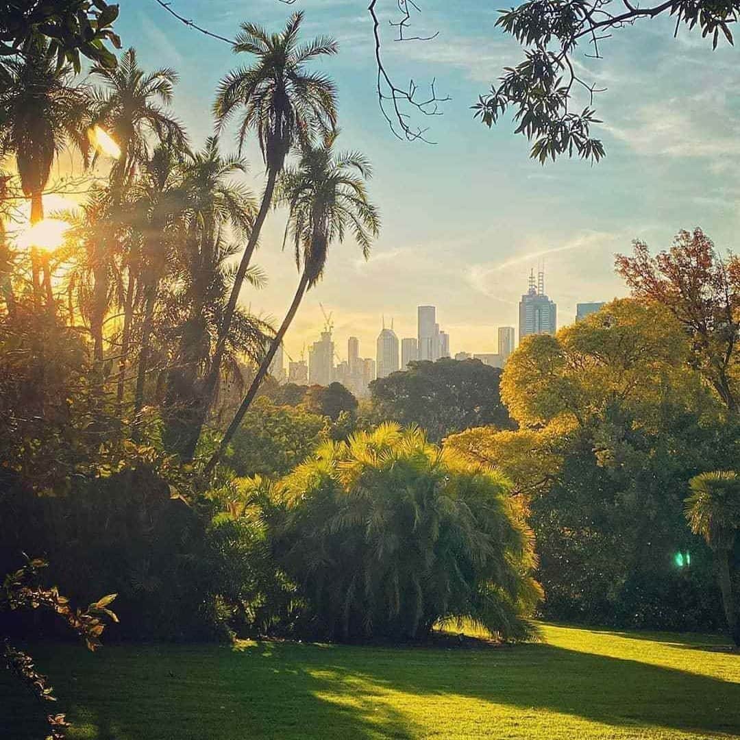 Australiaさんのインスタグラム写真 - (AustraliaInstagram)「Found: the perfect place to relax... smack bang in the middle of a city! 🌳 We feel instantly calm just by looking at the lush green goodness of @royalbotanicgardensvic in @visitmelbourne, captured beautifully here by @bonsai.west. This inner-city oasis is home to an incredible plant collection, lovely lakes and native wildlife, not to mention stunning vistas like the one pictured here - complete with #Melbourne's city skyline as the backdrop. These tranquil gardens have reopened recently, however, there are some restrictions in place so please check the #royalbotanicgardensvic website for more information before visiting. #seeaustralia #visitmelbourne #visitvictoria」10月10日 19時00分 - australia