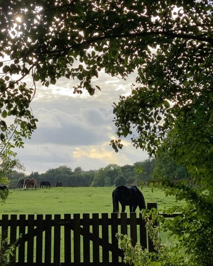 Mathilde Goehlerのインスタグラム：「Nature at its finest 💚」