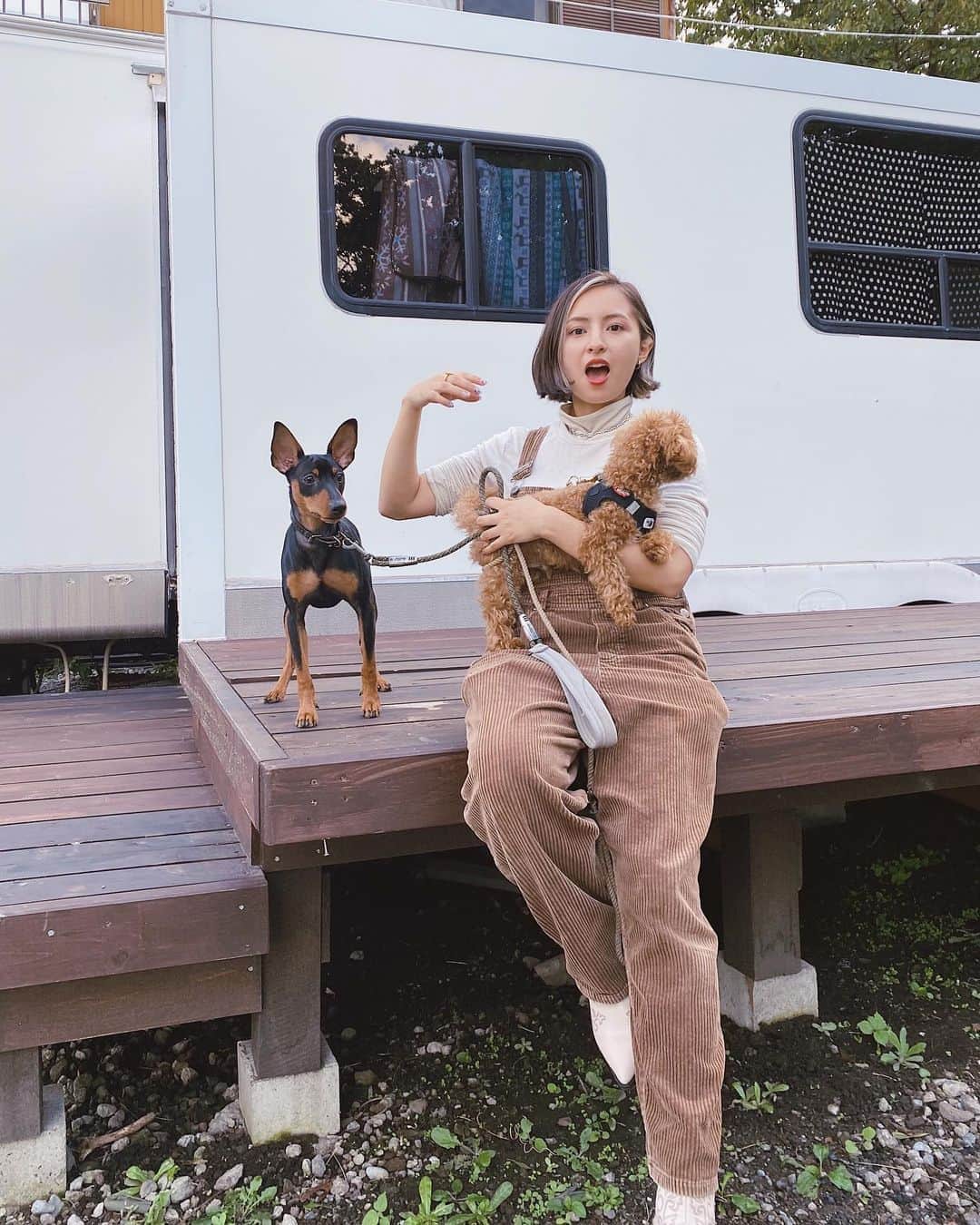 Julia Castroさんのインスタグラム写真 - (Julia CastroInstagram)「念願のキャンピングカー生活してきました🧡 ドライブしてドッグラン行ってクッキングして晩酌して泊まってまたドライブして… もう最高すぎるキャンピングカー生活だったよ〜！ 今日のYouTubeから何本かキャンピングカー動画が続くので楽しみにしててください🔥 (今日の動画でコメント沢山返しているのでコメント待ってます♡) . #campingcar  #camp #camping  #camplife #drive #family #couple #relationship #fall #autumn #fashion  #dog #myfamily  #mylife #outdoor  #キャンピングカー #キャンプ #秋キャンプ #ドライブ #カップル #キャンプ飯 #愛犬 #家族 #幸せ #アウトドア #秋の思い出 #料理 #YouTube載せたので見てね」10月10日 19時53分 - julia.c.0209