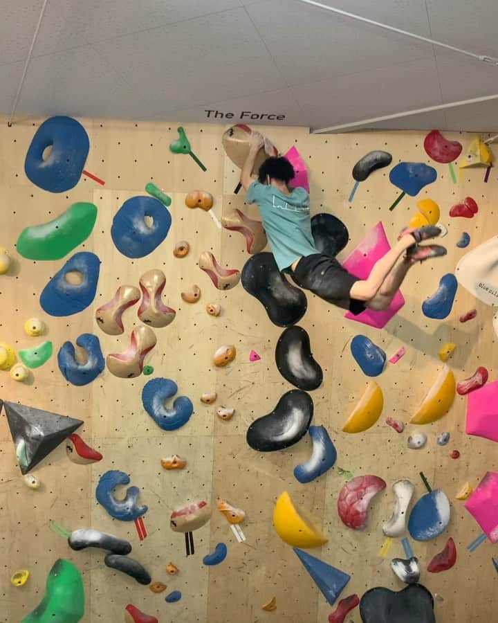 石松大晟のインスタグラム：「・﻿ 今日はベーキャン飯能 @boulderpark_basecamp  ﻿ 初段から三段まで全完🔥﻿ どれも面白い内容でした👏﻿ ﻿ #climbing #bouldering #sportsclimbing #video #climbing_videos_of_instagram #bouldering_videos_of_instagram #クライミング #ボルダリング #スポーツクライミング」