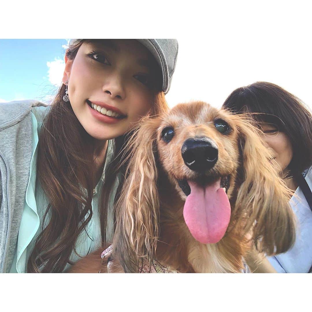 竹本萌瑛子のインスタグラム：「愛犬こころが10/3に旅立ちました。  その前の晩に熊本に帰っていたので 最期を看取ることができました。  賢くて優しくて可愛い大好きな家族。  気持ちはnoteにまとめたので、よかったら。 https://note.com/moexy/n/n7008f4142cee」
