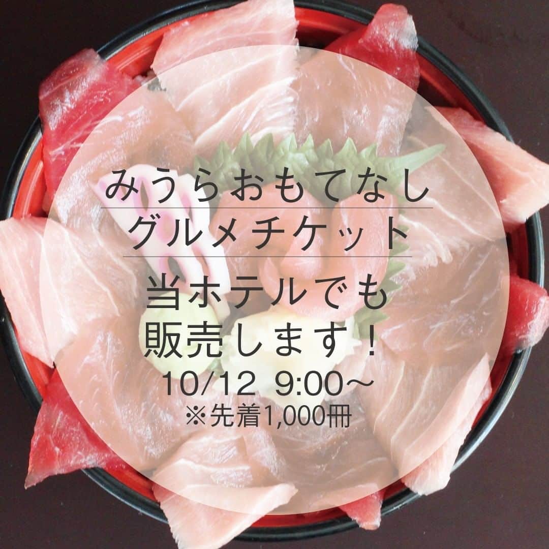 【公式】オーシャンリゾートホテル マホロバ・マインズ三浦のグルメインスタ