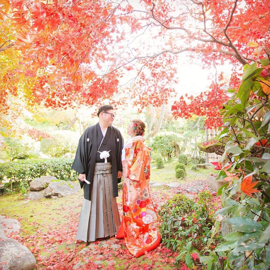 桜鶴苑のグルメインスタ