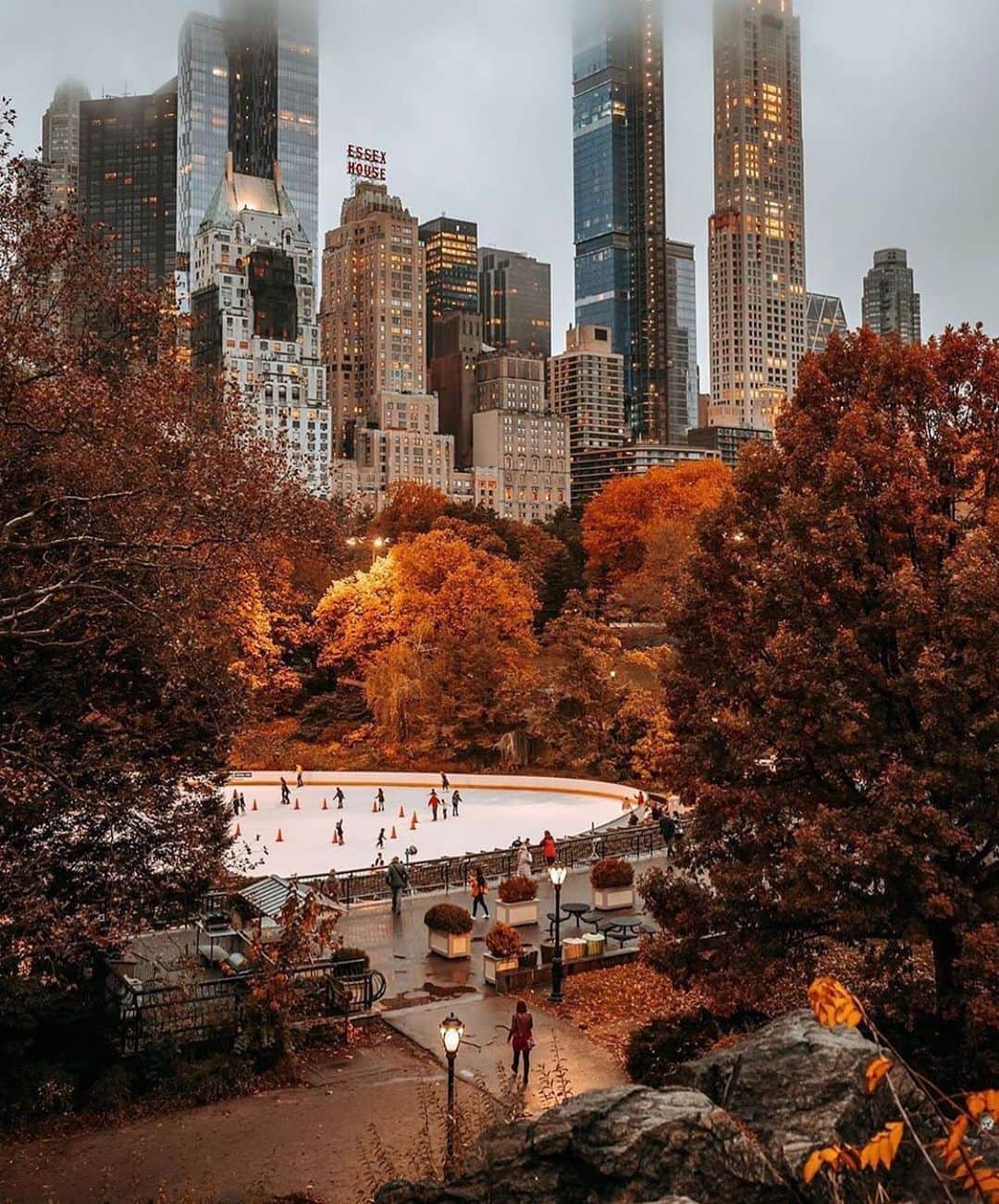 ダフネ・ジョイのインスタグラム：「All the feels. I can’t wait to see the city like this 🍂🍂🍂」