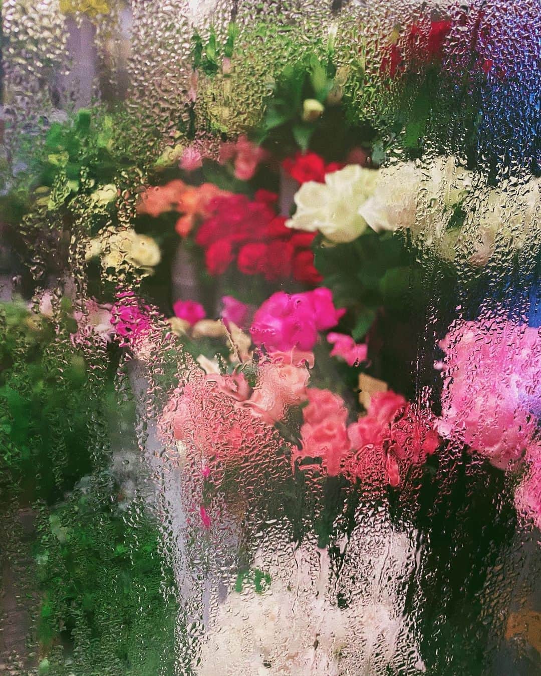 須田アンナさんのインスタグラム写真 - (須田アンナInstagram)「. 雨の日のお花ってドキドキしちゃう💐」10月10日 22時16分 - annastagram.official