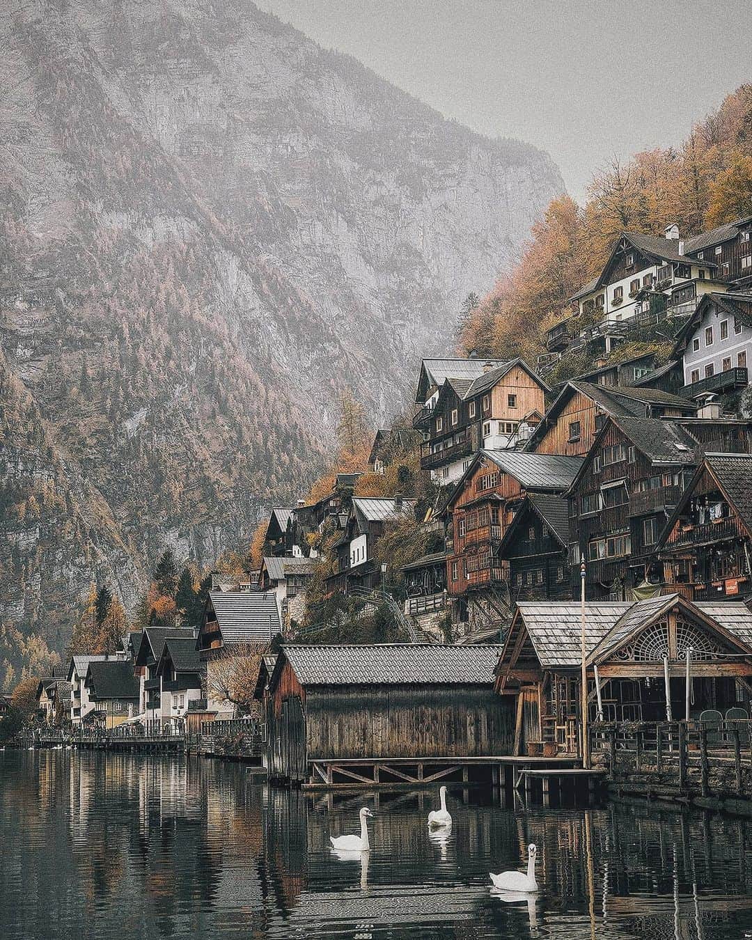 Berlin Tokyoのインスタグラム：「Wintry silence falls over the alpine village in wisps of the morning mist. . . #hellofrom hallstatt, #austria」