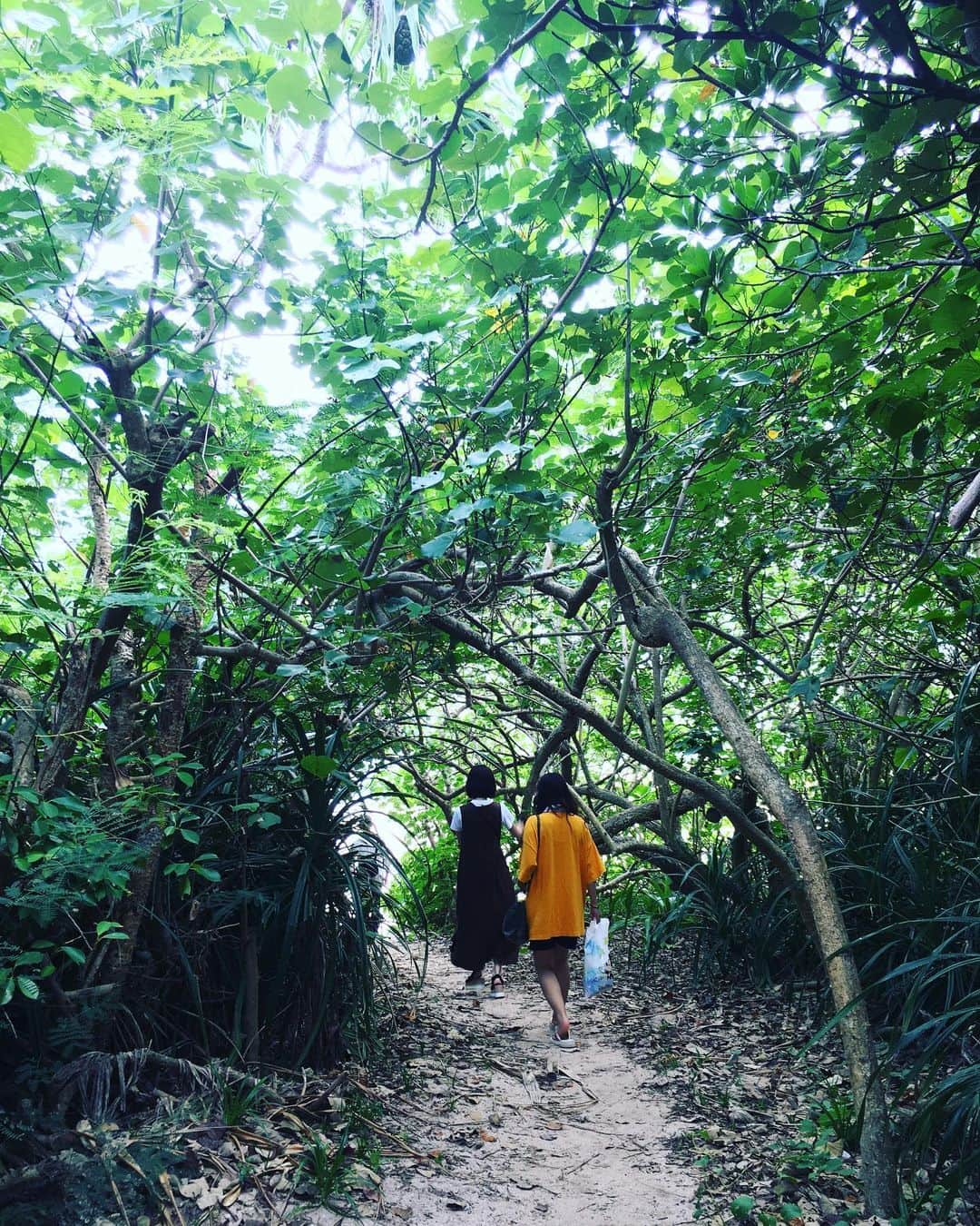 のインスタグラム：「自然の中で毎日生きたいな〜  #石垣島 #自然」
