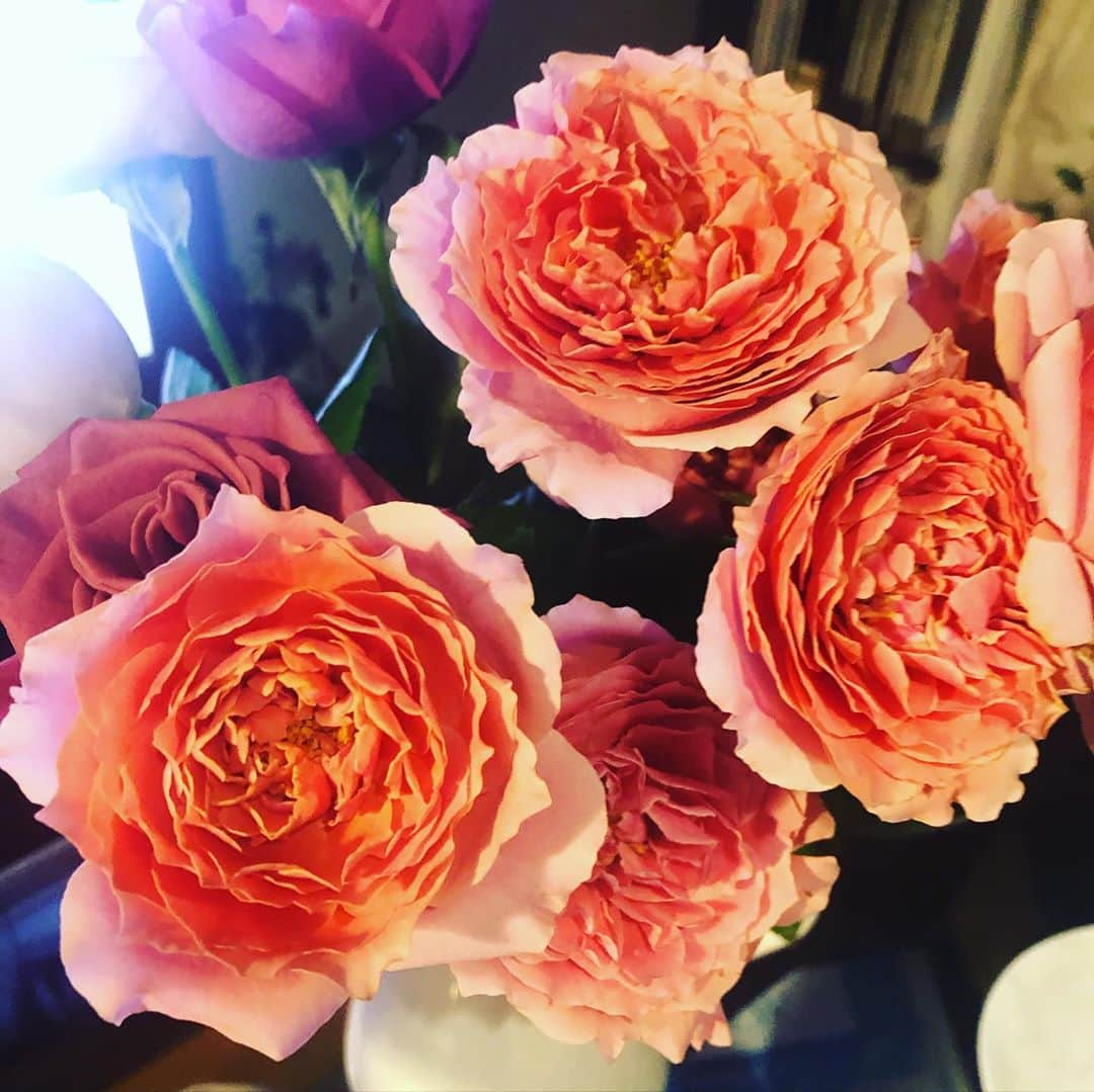 阿部洋子さんのインスタグラム写真 - (阿部洋子Instagram)「⸜🌷︎⸝‍ お花もろた！ ケンカすると、そのあともらいがち笑 でもうれしい。 ありがとね♡  お店の方にお任せせず、 いつも自分で選んでるらしい。 意外笑  #bouquet #rose #present」10月10日 22時48分 - hirocoring