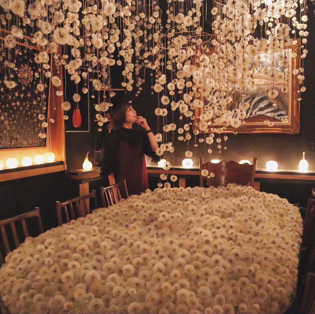 DJ YURiAのインスタグラム：「🤍🤍🤍  I saw a lifetime of dandelions.﻿ It was amazing place.﻿ ﻿ ﻿ 一生分のたんぽぽを見ました👀﻿ すんばらしかった！！ ふわふわぽわぽわ♡﻿  このたんぽぽで有名になったカフェなのですが、 オーナーさんは果物の皮などを使った ピールアートの創始者。 普段は捨ててしまうものをアート作品にしていて、 それもとっても可愛いです💕 写真の中では鏡の縁においてあるものやライトなど です☺️  おチビは絶対抱っこ紐が良いです！ 通路的にもベビーカーは難しいかな。 ふーってするだけで飛んでいってしまう とっても繊細なアートなので細心の注意で お楽しみくださいませ✨ ﻿ --------------﻿ 📍Location﻿ HIMITO﻿ Nakakawayokemachi51, Kanazawa, Ishikawa﻿ 920-0975 Japan﻿ --------------﻿」