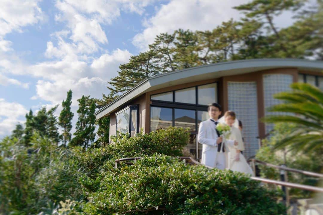 指帆亭のグルメインスタ