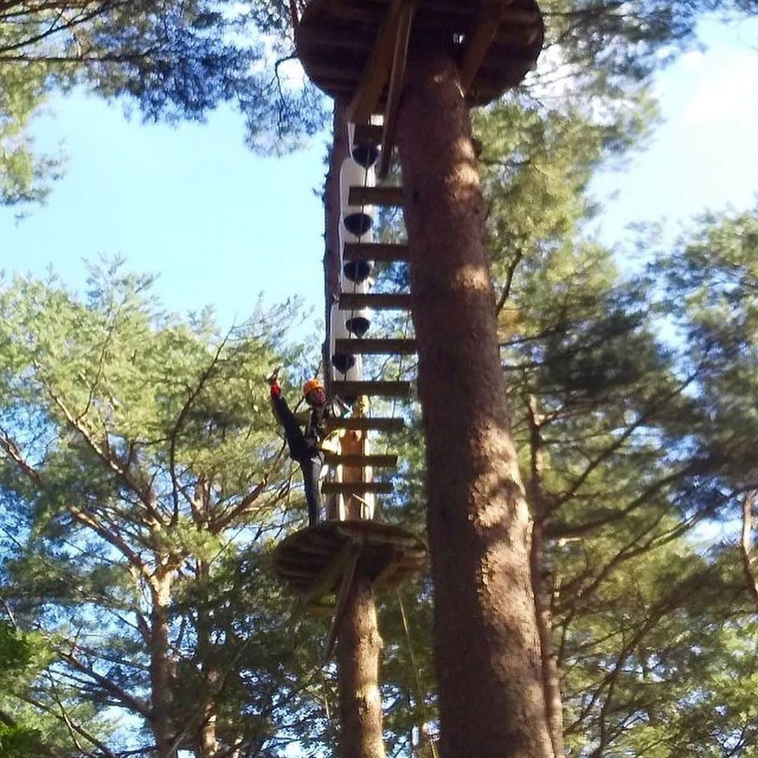 桜帆ゆかりさんのインスタグラム写真 - (桜帆ゆかりInstagram)「🐒🌳🎢🎡🎠🎪🚗 先日の　#秋の遠足 お天気にも恵まれて思いっっきり身体を動かして自然で遊びました🙈❤️  ますます高いところ登りたいand空を飛びたい欲が…🤩前世鳥類かな⁇🕊笑 みんなと思い切り楽しんで最高のリフレッシュ✨  #NOZARU  #アスレチック　#那須ハイランドパーク　#今度はゆっくり来たいな　#外遊び　#いつだって全力で遊びます」10月10日 23時08分 - chahoroo93