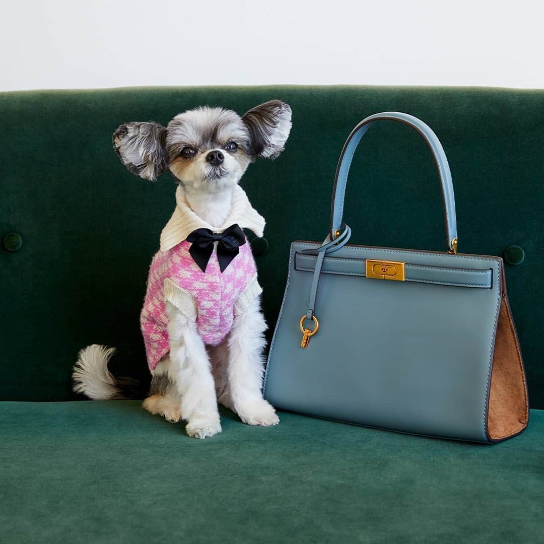 Saks Fifth Avenueさんのインスタグラム写真 - (Saks Fifth AvenueInstagram)「HANDBAG HEROES: Take on the weekend with @toryburch's Lee Radziwill satchel. Here, it’s sitting pretty like Instagram-famous @tinkerbellethedog. #SaksStyle」10月10日 23時32分 - saks