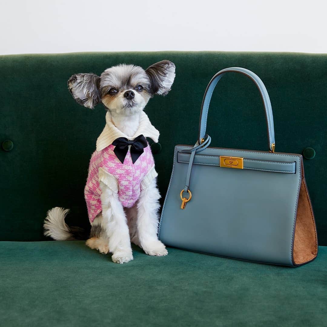 Saks Fifth Avenueのインスタグラム：「HANDBAG HEROES: Take on the weekend with @toryburch's Lee Radziwill satchel. Here, it’s sitting pretty like Instagram-famous @tinkerbellethedog. #SaksStyle」