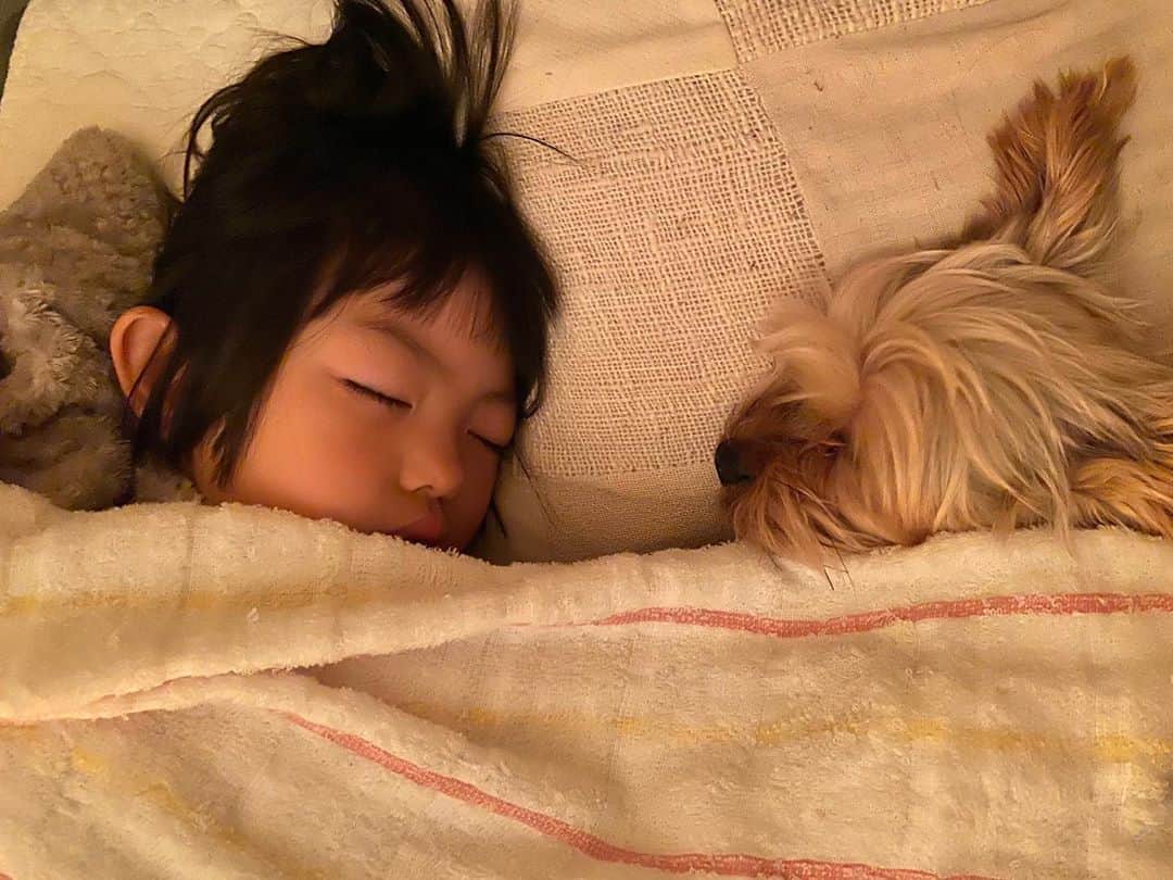 国枝洋子のインスタグラム：「おやすみ☺️❤️❤️❤️」