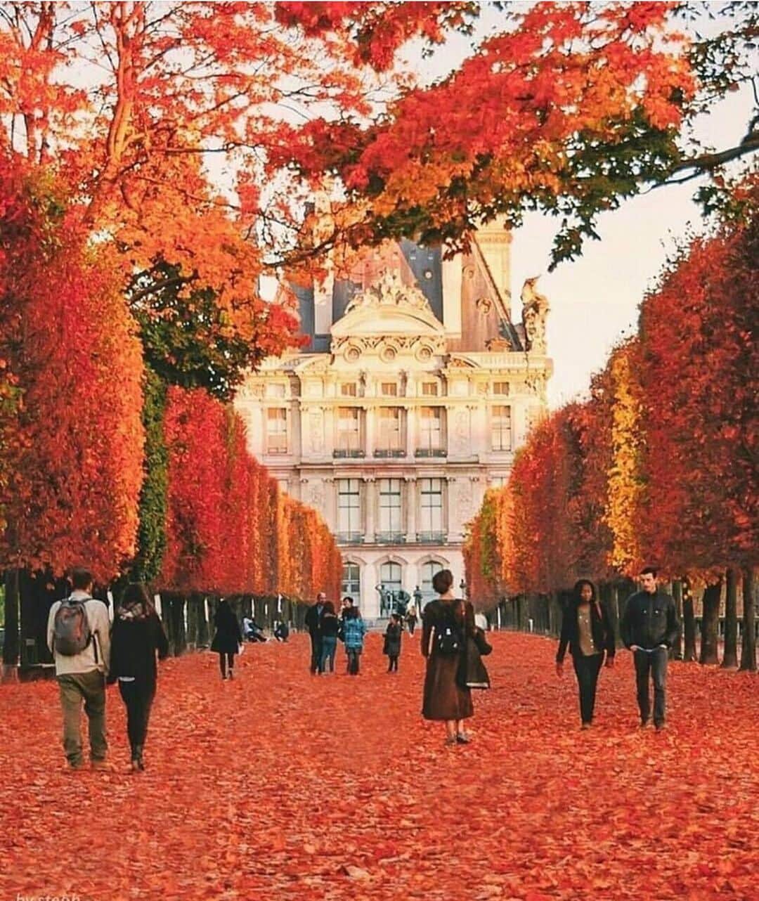Wonderful Placesさんのインスタグラム写真 - (Wonderful PlacesInstagram)「Fall in Paris ✨😍😍🍁🍁✨ . Picture by ✨✨@by.steph✨✨ #wonderful_places for a feature ❤️🍁」10月11日 0時24分 - wonderful_places