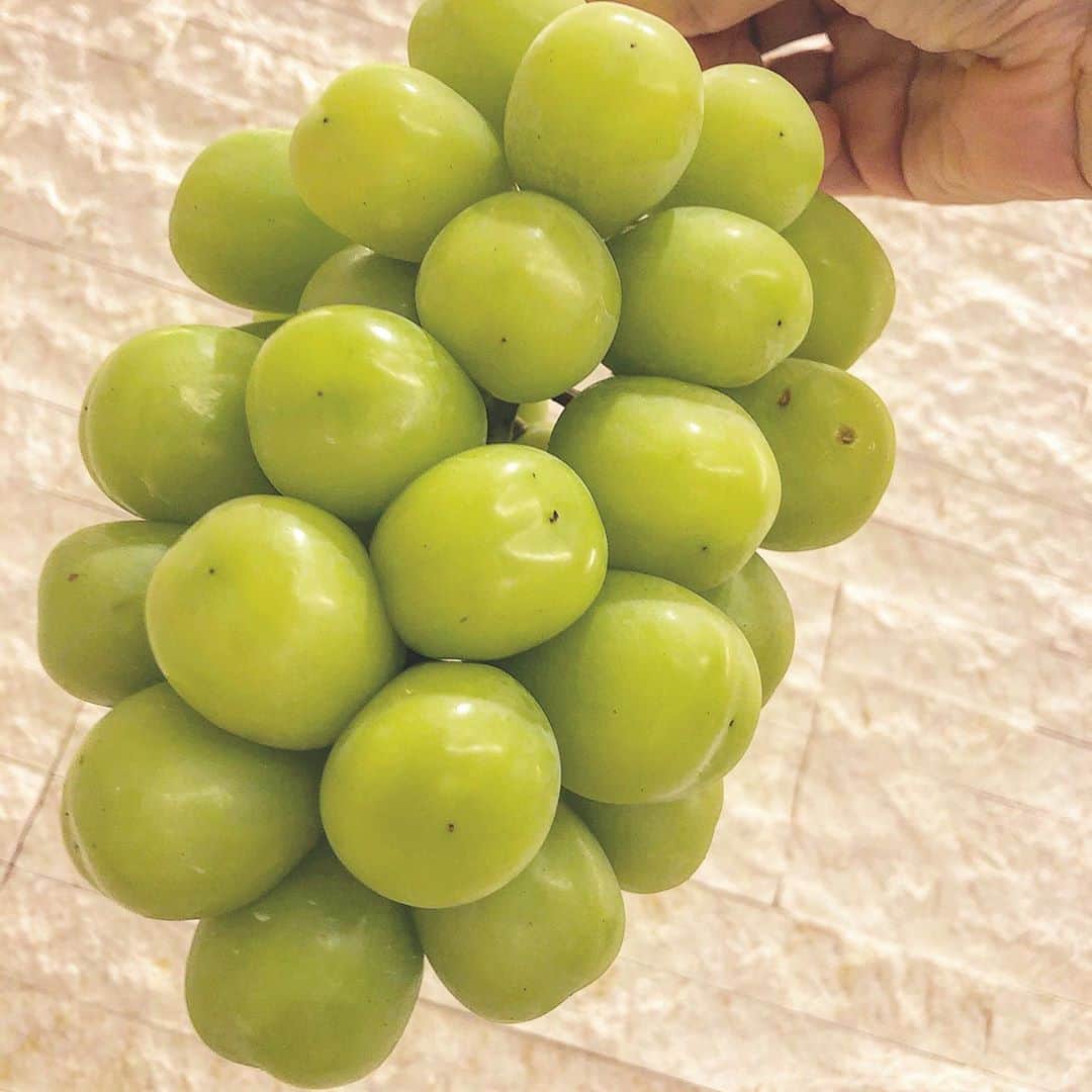 百瀬俊介のインスタグラム：「食欲の秋🌾 味覚の秋🍁 秋になるとたくさんの美味しい食材に出会える季節です😋 いつもこの時期この季節になると規格外の大きな粒がたっぷり付いたシャインマスカットが長野県中野市から届きます🍇 ひと粒ひと粒が本当に大きくて今にもはち切れそうなこの粒が甘いんです！ 一房に30粒🙌🙌🙌 今年も美味しくいただきます👍  #味覚の秋 #食欲の秋 #シャインマスカット #長野県 #中野市 #いただきます #🍇」