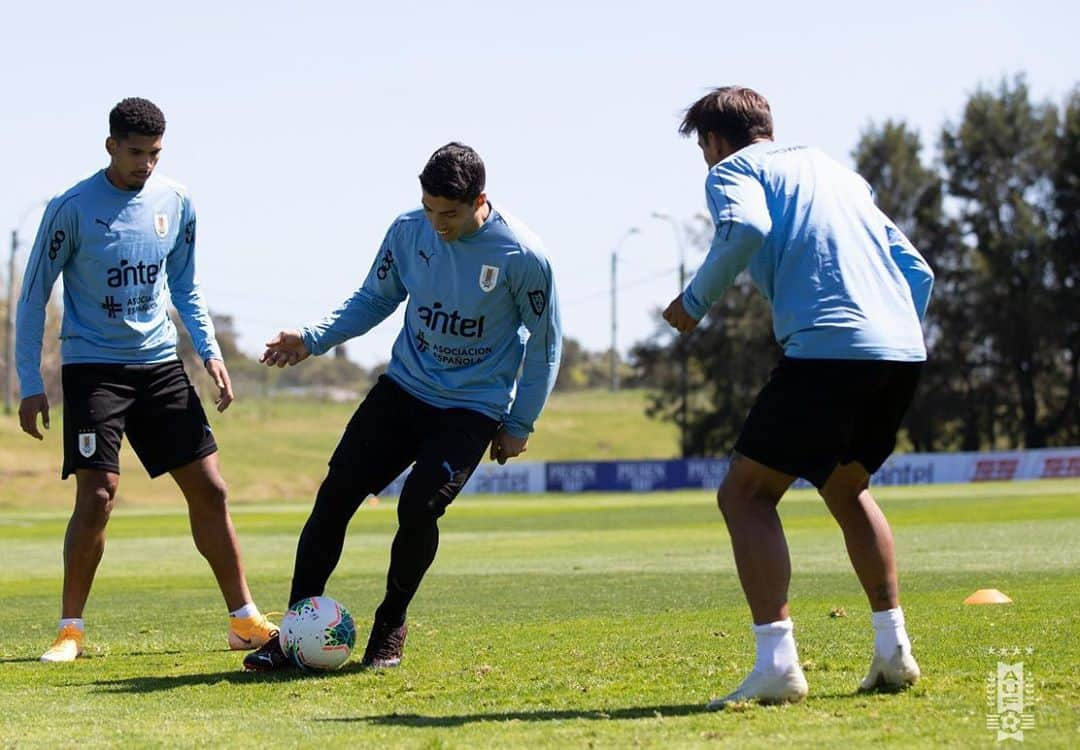 ルイス・アルベルト・スアレスさんのインスタグラム写真 - (ルイス・アルベルト・スアレスInstagram)「Seguimos preparando el próximo partido! 🔵⚪️ @aufoficial #eliminatorias2022 #elquipoquenosune」10月11日 0時22分 - luissuarez9