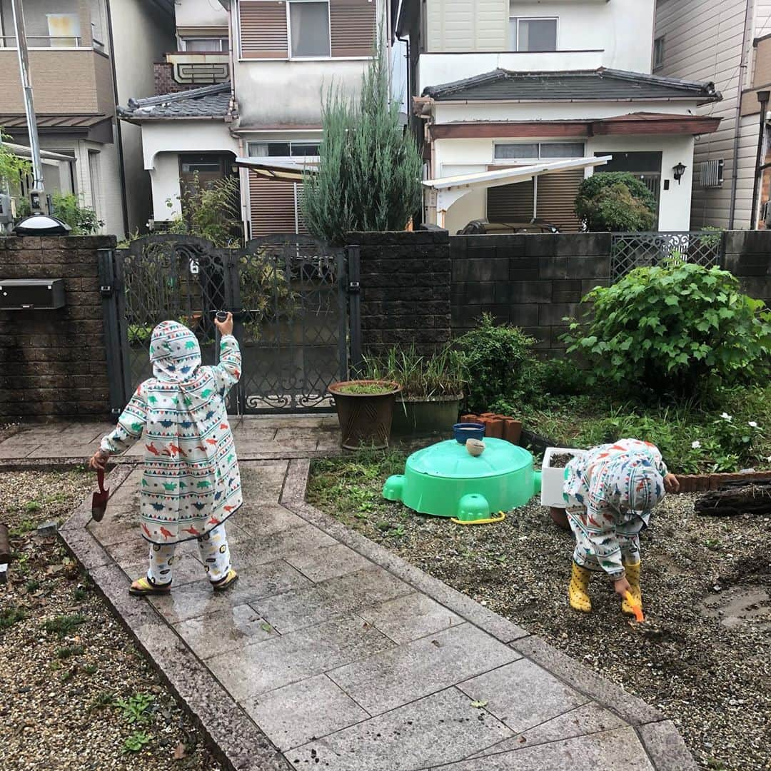 生島早織さんのインスタグラム写真 - (生島早織Instagram)「雨の日は〜🎨  お絵描き🎨  お部屋でお絵描きしている次男と、お絵かきでも少しでも外にいたい長男はテーブルだけデッキ🤣  雨でも外を見ていたい⁉️  ハロウィン通り越してクリスマスのcakeを選ぶ双子達🎂  それぞれの希望のケーキに付箋貼っておいてねー と、渡しておくと、2人の意見が一致した様です🤣  付箋は一人一枚で良かったんだけどね😅  よーーーく、わかったよ🎂👍  夕方になっても雨は続く・・・  もう我慢出来ない😤 と、カッパを着て庭へ出て行った〜☔️  砂遊びというか砂利遊び？ 水遊び？  配管に水を通したり、池や川を作ったり〜  1人は長靴だけど、1人はビーチサンダル。  2人、全く一緒が無い〜😍  明日は、運動会だから今夜は早く寝ようね〜 と言っておくと、振り返ったら寝てた次男🤣  大きめの簡単なボタンなら自分で留めれるようになって、何でも自分でする〜なんて思ったら、よく見たらズボンが裏返しのうしろ前👖🤣  何でそうなるのかな？  何だこれ〜🤪  って言って欲しかったのかな？  ちゃんと、期待に応えないと🤣  #双子育児  #双子ママ #双子それぞれ #双子あるある #雨の日の過ごし方 #雨でも外で #明日は運動会 #なんでそうなるの」10月11日 0時59分 - saori.ikushima