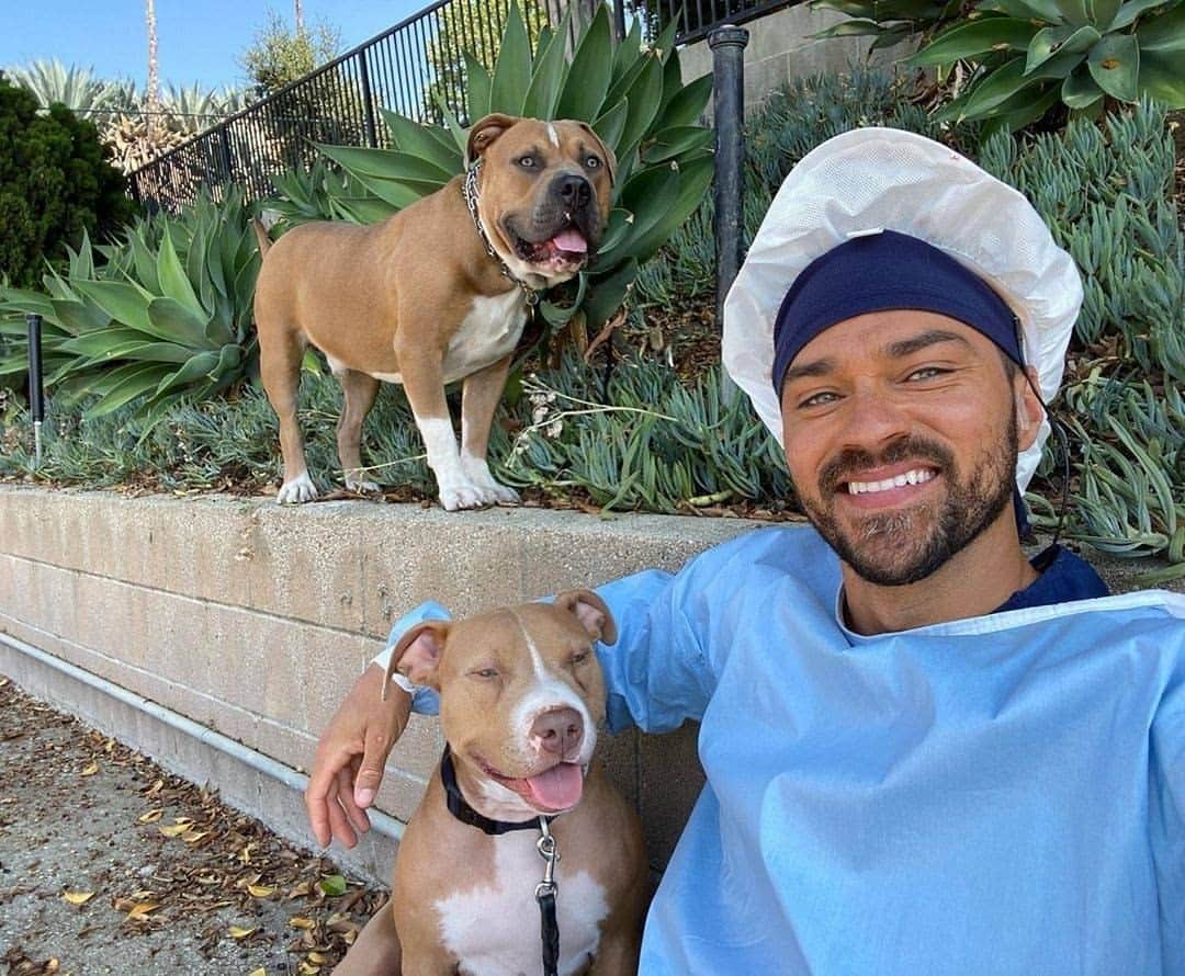 Grey's Anatomyさんのインスタグラム写真 - (Grey's AnatomyInstagram)「I mean... 😍 #GreysAnatomy 📷: @ijessewilliams」10月11日 1時00分 - greysabc