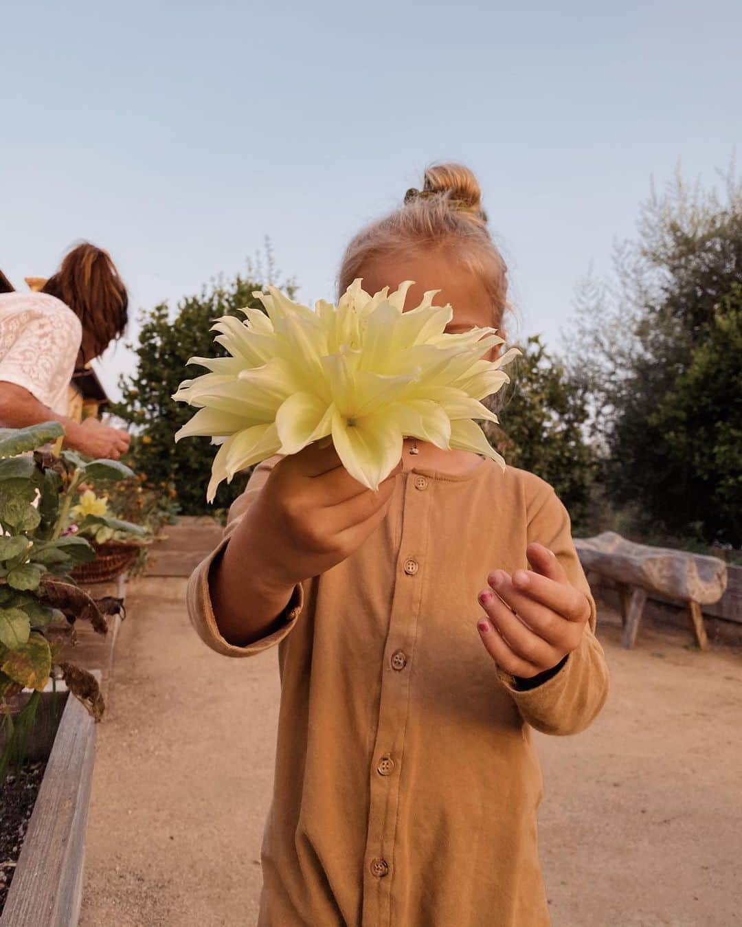のインスタグラム：「Just pickin flowers and goofin around 🌹🌸💐」