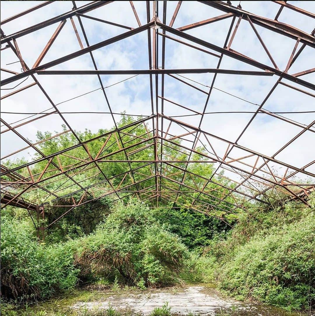 コートエシエルさんのインスタグラム写真 - (コートエシエルInstagram)「When humans abandon their places, nature beautifully reclaims what rightfully belongs to it 🌿 . Paris-based photographer @jonjonkkkk travelled around the globe to capture unmaintained ​man-made structures. . Jonk’s photography shows that in the power struggle between man and nature, nature always wins 🌱 . . . . #greenhouse #greenhouses #greenhouselife #greenhouseproject #jonkphotography #greenhousegardening #abandonedplaces #abandonedphotography #abandonedbuilding #abandonedhouse #photographyproject #glasshouse #powerofnature #natureisbrutal #brutalnature #naturephotograpy #natureseekers #naturephotographer #natureinspired #natureonly #naturetakesover #savethedacay #decayedplaces #decayexplorers #decayedbeauty #urbanexplorer #abandonedarchitecture #abandonedaddiction #abandoned_junkies」10月11日 3時39分 - coteetciel